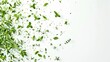 © sticker2you - A radial burst of herbs from the corner radiating energy and freshness on a white background