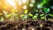 © Chaikit - modern farming technology shot, soil quality indicators, earth science visualization, natural bokeh effect, agricultural research photography, educational composition
