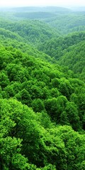 a lush, green landscape spreads across rolling hills, showcasing dense forests and vibrant foliage u