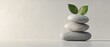 © Vladimir - Balanced stones and green leaves symbolize tranquility and wellness in a spa-like setting