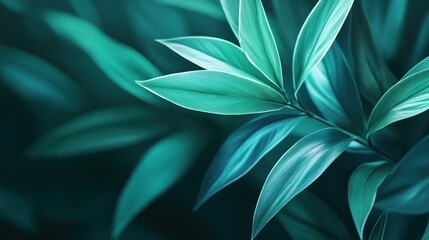 Poster - Close-up of vibrant green leaves with a soft focus, creating a serene natural atmosphere.