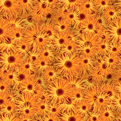 Seamless floral pattern collage with vibrant orange flowers background