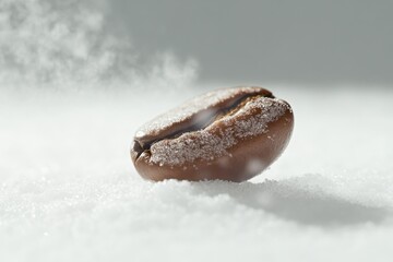 Wall Mural - Coffee bean covered in sugar crystals resting on white surface