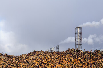 
a large pile of firewood is visible, which is intended for heating.