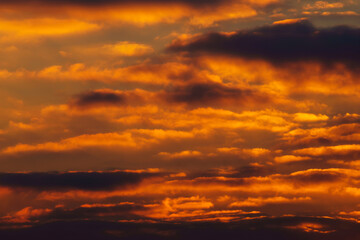 Wall Mural - beautiful and dramatic sunset sky with bright yellow clouds as abstract background