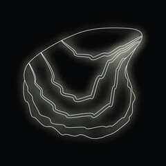 Wall Mural - Glowing white line art illustration of an oyster on a black background