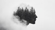 © saichon - silhouette of person with forest landscape inside, surrounded by mist