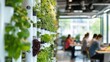 © Marketplace - Modern urban farm inside an office building- with people eating lunch in the background while plants grow on white walls and green sustainable technology elements.