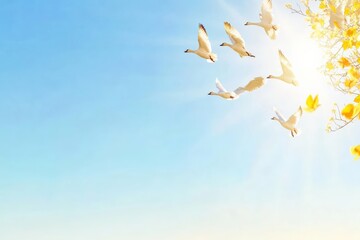 Wall Mural - Flock of birds flying under bright blue sky with sun rays shining nature concept