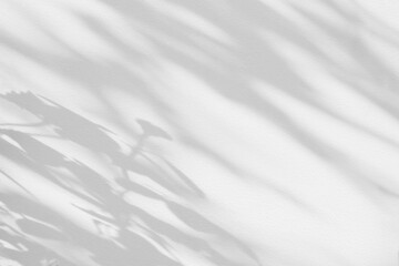 Aufkleber - Rose leaf shadow. Shadows and light from sunlight of natural rose leaf tree branch plant , grey rose leaves shadow overlay effect for foliage mockup