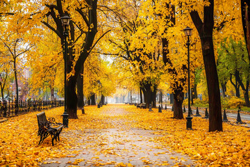 Canvas Print - Autumn leaves on a peaceful park path