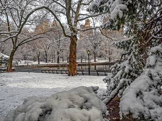 Wall Mural - Central Park in winter after snow