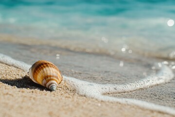 Wall Mural - a solitary shell found on a sandy beach, perfect for a coastal-themed image