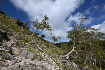 Wall Mural - Mt. Nikko-Shirane, Gunma, Tochigi, Japan