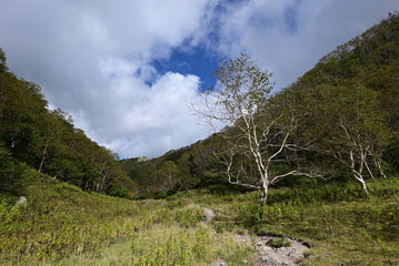 Wall Mural - Mt. Nikko-Shirane, Gunma, Tochigi, Japan