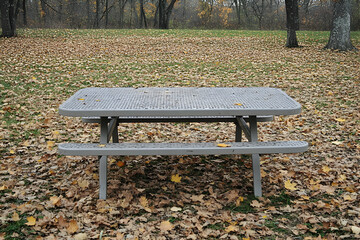 Wall Mural - A tranquil park picnic area under a canopy of autumn leaves invites serene moments and the quiet beauty of nature's seasonal shift