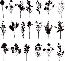 Wall Mural - silhouette flowers set on white background vector