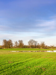 Wall Mural - field of grass with a pond in the middle