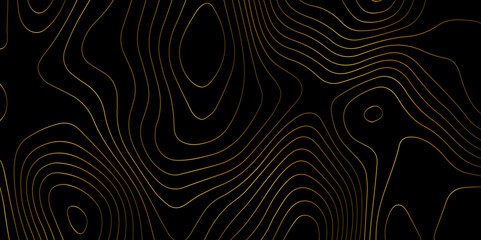 Wall Mural - abstract light pattern vector illustration. topographic map background concept. vibrant neon lights 