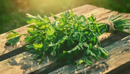 fresh parsley bunch on rustic wooden table in natural sunlight for culinary or herbal presentation design