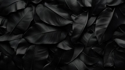 Wall Mural - Dark Textured Background of Black Banana Leaves for Nature-Inspired Design and Aesthetic Projects with Elegant and Stylish Vibes