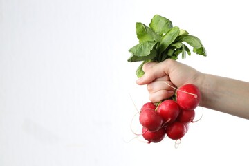 Wall Mural - Woman with bunch of fresh radishes on white background, closeup. Space for text