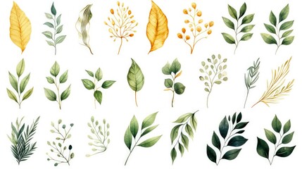 Green and Gold Watercolor Plants Collection: Set of Leaf Elements, Tree Branches and Nature Illustrations Ideal for Wedding Invitations