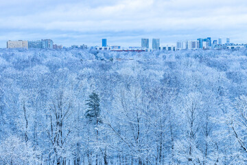 Wall Mural - snowy city park and town in blue winter dusk