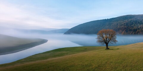 Poster - A tree stands in a field next to a river. The sky is cloudy and the air is foggy