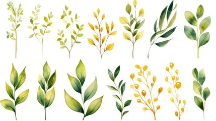 watercolor green and gold plants for wedding invitations and nature-themed designs