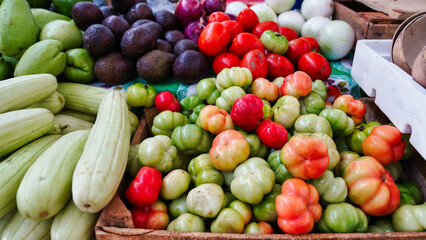 Traditional and native Yucatecan tomatoes,chilli peppers,limes,squash and other vegetables on display at the Municipal market in historic Valladolid town,a Pueblo Magico city in Yucatan,Mexico