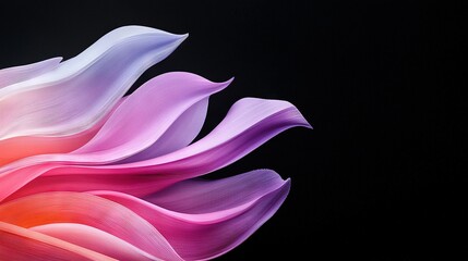 Wall Mural -   Pink-purple flower on black background with reflective petals