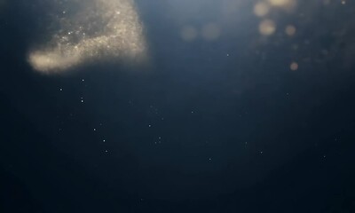 Wall Mural - sparkle golden animation