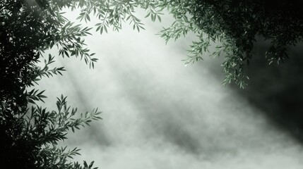 Sunbeams through forest canopy, misty background, nature scene, website banner