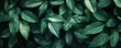 © Valentyna - Green background for people who want to use graphics advertising.