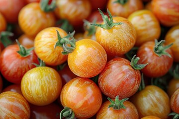 Wall Mural - A close-up of colorful, ripe tomatoes showcasing their vibrant hues.