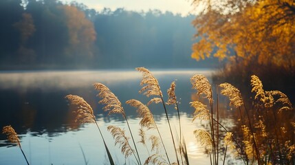 Poster - Golden reeds along the serene lake reflecting autumn colors in a tranquil landscape : Generative AI