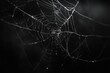 © artwiyanastudio - Intricate Spiderweb in Dark Night