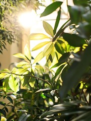 Poster - Lush Green Leaves Bathed in Warm Sunshine Bringing Nature Inside for a Fresh Ambiance : Generative AI