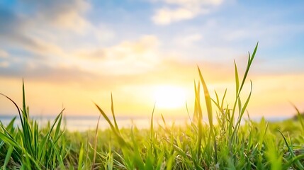 Poster - Bright Sunrise Over Green Grassland With Vibrant Sky Colors : Generative AI