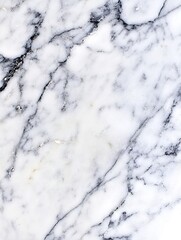 Poster - Elegant and classic white marble texture with black veins ideal for luxurious backgrounds and designs : Generative AI