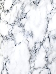 Leinwandbilder - Elegant marble texture with a classic design featuring intricate white and gray veins : Generative AI
