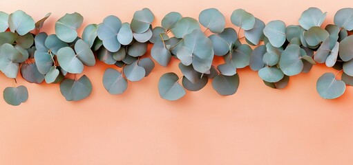 Wall Mural - Eucalyptus leaves border on peach background.