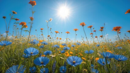 Poster - Vibrant Meadow Filled With Wildflowers Under Brilliant Blue Sky And Sunlight Featuring Empty Space For Custom Text And Design