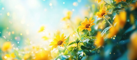 Wall Mural - Close-up of vibrant yellow sunflowers in a sunny meadow with soft bokeh effect and warm light creating a serene floral ambiance.