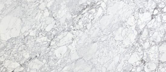 Wall Mural - elegant white marble texture and high resolution background for sophisticated decorative design and 