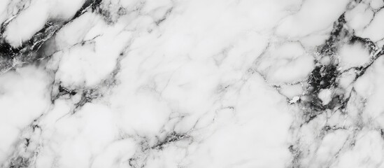 Wall Mural - elegant macro close-up of black, white, and gray marble surface showcasing intricate texture ideal f