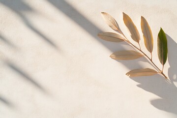 Fototapete - Minimalist Digital Marketing Visual Neutral Leaf Shadow Patterns on Textured Canvas - Enhancing Eco-Friendly Branding and Aesthetic Content Creation