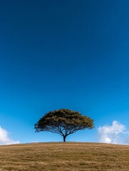 Aufkleber - Minimalist Energy Landscape Solitary Tree in Expansive Field with Power Lines - Visual Content for Green Initiatives and Renewable Energy Marketing