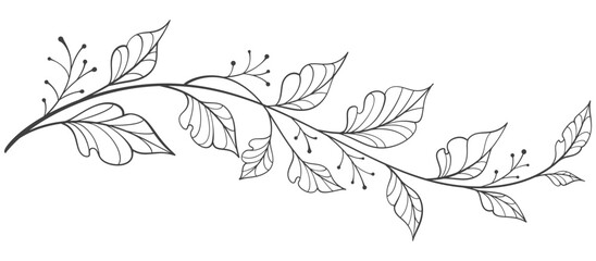 black and white outline sketch of a leaf. floral, botanical leaf element design Vector eps